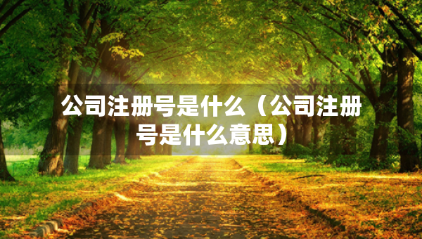 公司注冊(cè)號(hào)是什么（公司注冊(cè)號(hào)是什么意思）