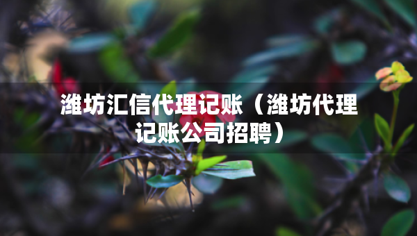 濰坊匯信代理記賬（濰坊代理記賬公司招聘）