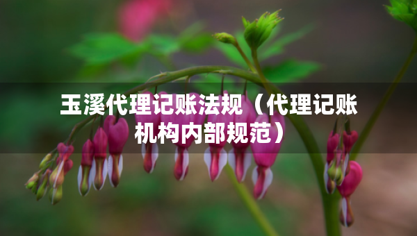 玉溪代理記賬法規(guī)（代理記賬機構內(nèi)部規(guī)范）