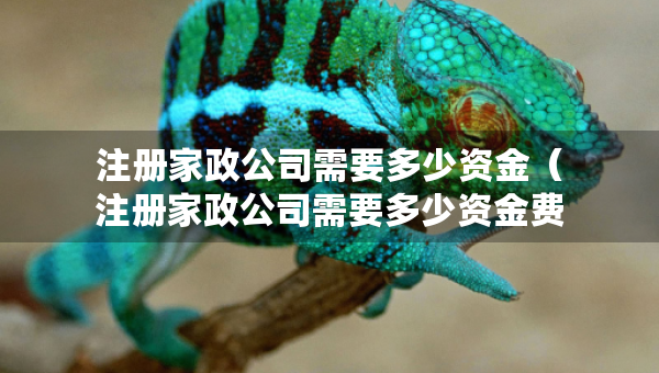 注冊(cè)家政公司需要多少資金（注冊(cè)家政公司需要多少資金費(fèi)用）
