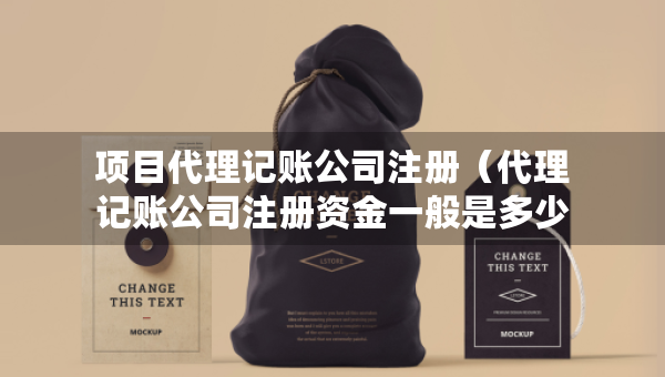 項(xiàng)目代理記賬公司注冊(cè)（代理記賬公司注冊(cè)資金一般是多少）