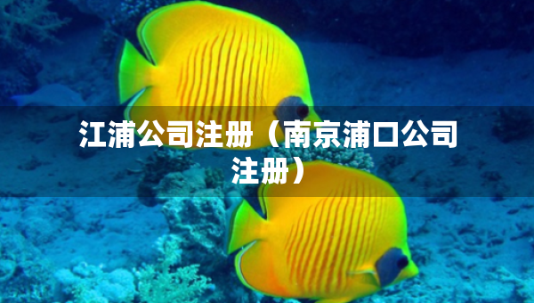 江浦公司注冊(cè)（南京浦口公司注冊(cè)）