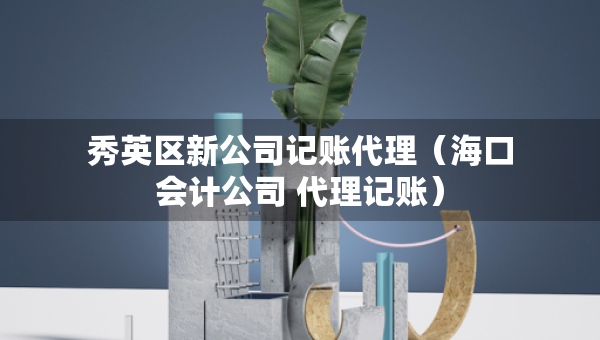 秀英區(qū)新公司記賬代理（?？跁?huì)計(jì)公司 代理記賬）