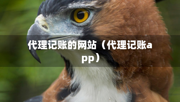 代理記賬的網(wǎng)站（代理記賬app）