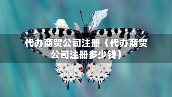 代辦商貿(mào)公司注冊(代辦商貿(mào)公司注冊多少錢) 代辦商貿(mào)公司注冊(代辦商貿(mào)公司注冊多少錢)