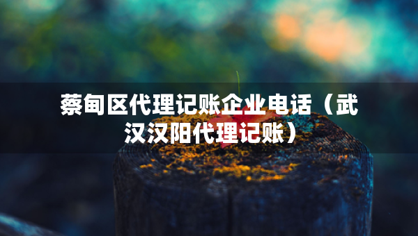 蔡甸區(qū)代理記賬企業(yè)電話（武漢漢陽代理記賬）