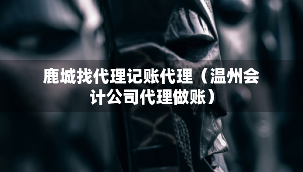 鹿城找代理記賬代理（溫州會(huì)計(jì)公司代理做賬）