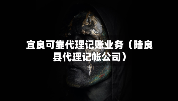 宜良可靠代理記賬業(yè)務(wù)（陸良縣代理記帳公司）