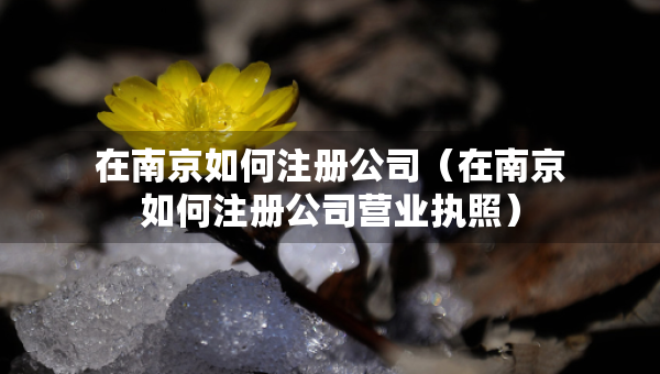 在南京如何注冊(cè)公司（在南京如何注冊(cè)公司營(yíng)業(yè)執(zhí)照）