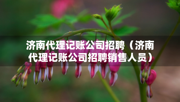 濟(jì)南代理記賬公司招聘（濟(jì)南代理記賬公司招聘銷售人員）