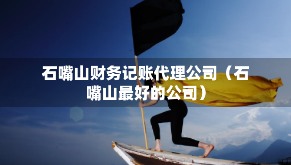 石嘴山財(cái)務(wù)記賬代理公司（石嘴山最好的公司）