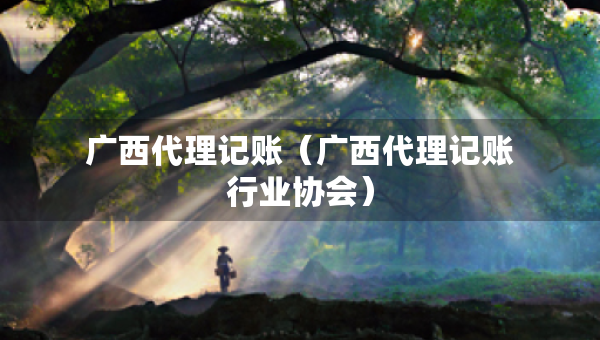廣西代理記賬（廣西代理記賬行業(yè)協(xié)會(huì)）