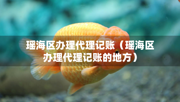 瑤海區(qū)辦理代理記賬(瑤海區(qū)辦理代理記賬的地方) 瑤海區(qū)辦理代理記賬(瑤海區(qū)辦理代理記賬的地方)