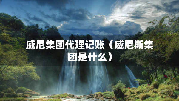 威尼集團(tuán)代理記賬（威尼斯集團(tuán)是什么）