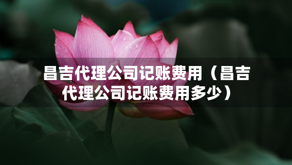 昌吉代理公司記賬費(fèi)用（昌吉代理公司記賬費(fèi)用多少）