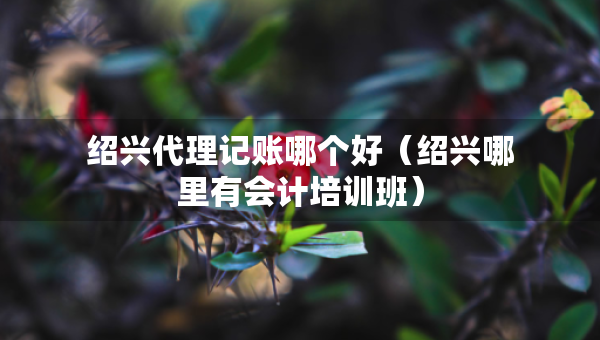紹興代理記賬哪個(gè)好（紹興哪里有會(huì)計(jì)培訓(xùn)班）