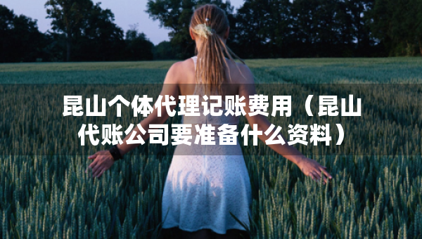 昆山個體代理記賬費(fèi)用(昆山代賬公司要準(zhǔn)備什么資料) 昆山個體代理記賬費(fèi)用(昆山代賬公司要準(zhǔn)備什么資料)