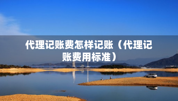 代理記賬費(fèi)怎樣記賬（代理記賬費(fèi)用標(biāo)準(zhǔn)）