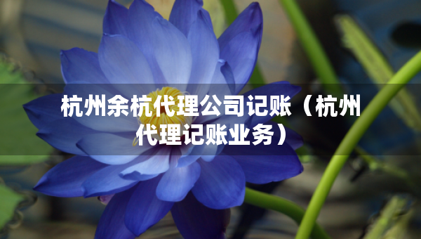 杭州余杭代理公司記賬（杭州代理記賬業(yè)務(wù)）