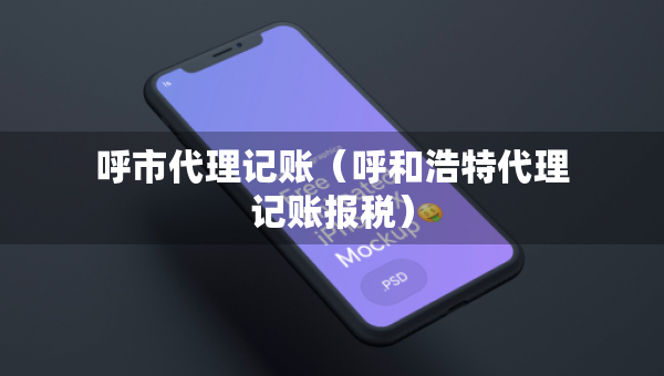 呼市代理記賬（呼和浩特代理記賬報(bào)稅）