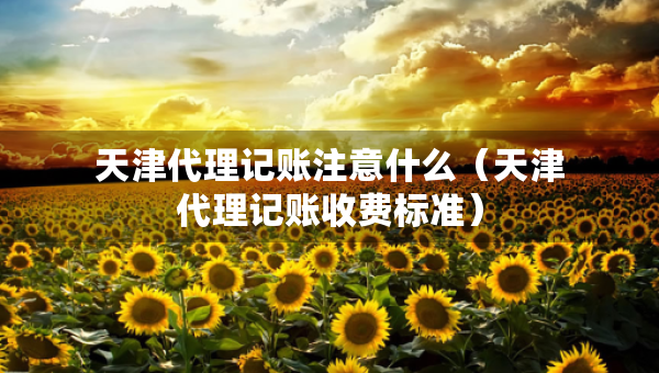 天津代理記賬注意什么（天津代理記賬收費(fèi)標(biāo)準(zhǔn)）