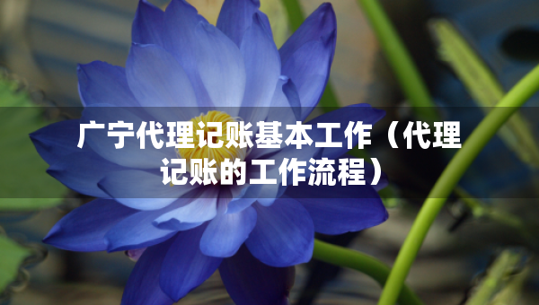 廣寧代理記賬基本工作(代理記賬的工作流程) 廣寧代理記賬基本工作(代理記賬的工作流程)