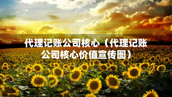 代理記賬公司核心（代理記賬公司核心價(jià)值宣傳圖）
