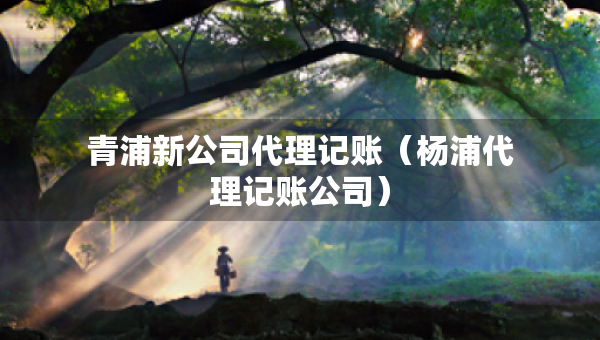 青浦新公司代理記賬（楊浦代理記賬公司）