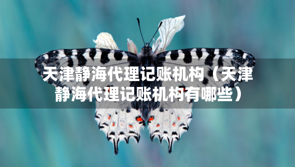 天津靜海代理記賬機構(gòu)（天津靜海代理記賬機構(gòu)有哪些）