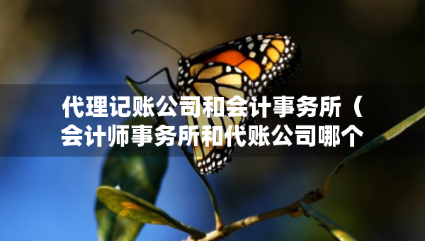 代理記賬公司和會計事務所（會計師事務所和代賬公司哪個好）