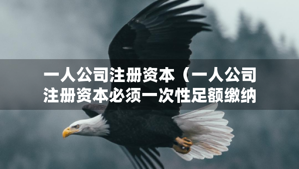 一人公司注冊資本（一人公司注冊資本必須一次性足額繳納）