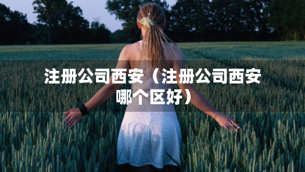 注冊(cè)公司西安（注冊(cè)公司西安哪個(gè)區(qū)好）