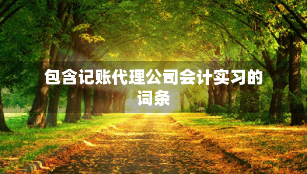 包含記賬代理公司會(huì)計(jì)實(shí)習(xí)的詞條 包含記賬代理公司會(huì)計(jì)實(shí)習(xí)的詞條