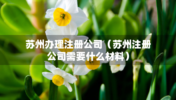 蘇州辦理注冊公司(蘇州注冊公司需要什么材料) 蘇州辦理注冊公司(蘇州注冊公司需要什么材料)