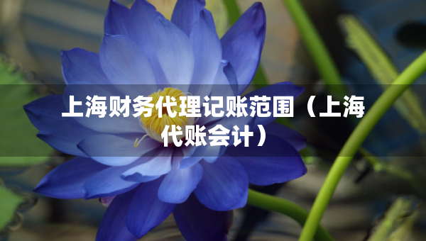 上海財務(wù)代理記賬范圍（上海代賬會計）