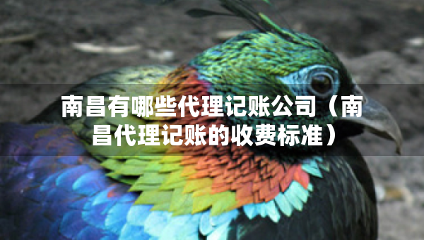 南昌有哪些代理記賬公司（南昌代理記賬的收費(fèi)標(biāo)準(zhǔn)）