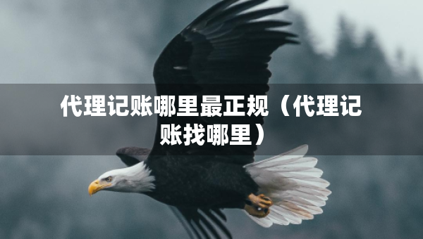 代理記賬哪里最正規(guī)（代理記賬找哪里）