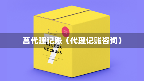 莒代理記賬（代理記賬咨詢）