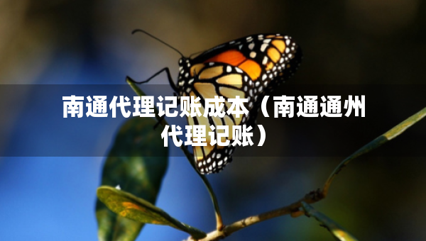 南通代理記賬成本（南通通州代理記賬）