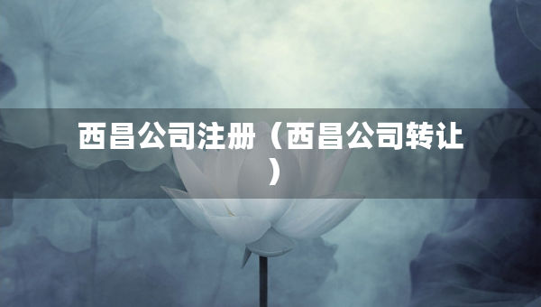 西昌公司注冊(cè)(西昌公司轉(zhuǎn)讓) 西昌公司注冊(cè)(西昌公司轉(zhuǎn)讓)