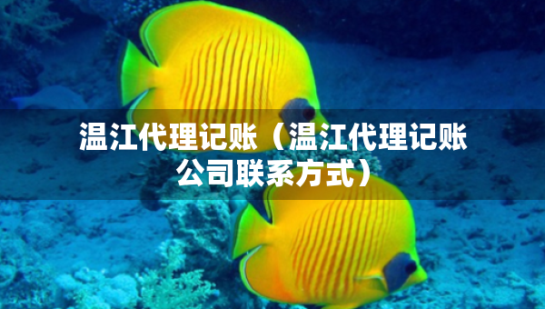 溫江代理記賬(溫江代理記賬公司聯(lián)系方式) 溫江代理記賬(溫江代理記賬公司聯(lián)系方式)