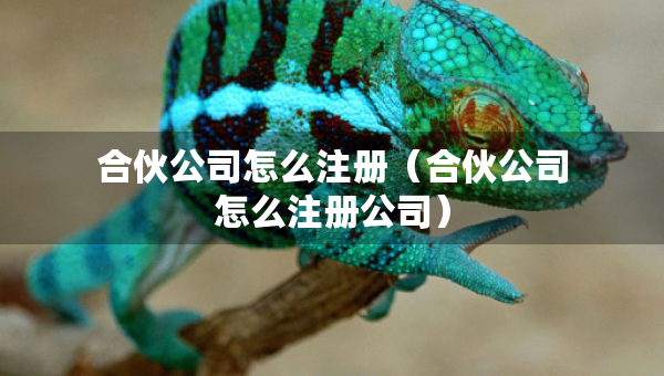 合伙公司怎么注冊(cè)(合伙公司怎么注冊(cè)公司) 合伙公司怎么注冊(cè)(合伙公司怎么注冊(cè)公司)