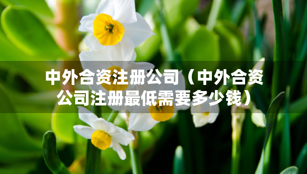 中外合資注冊公司（中外合資公司注冊最低需要多少錢）