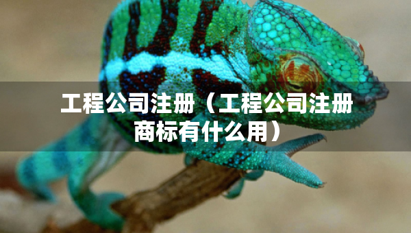 工程公司注冊(cè)(工程公司注冊(cè)商標(biāo)有什么用) 工程公司注冊(cè)(工程公司注冊(cè)商標(biāo)有什么用)
