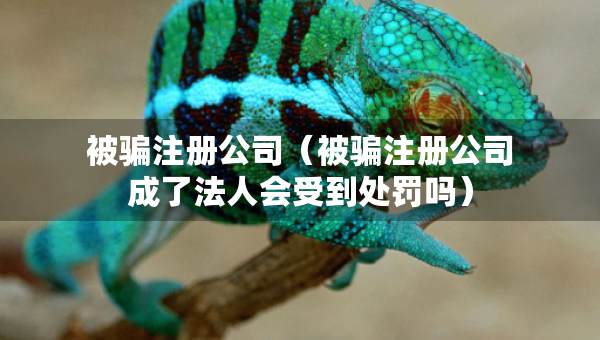 被騙注冊公司（被騙注冊公司成了法人會受到處罰嗎）