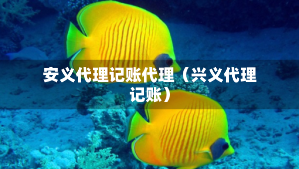 安義代理記賬代理(興義代理記賬) 安義代理記賬代理(興義代理記賬)