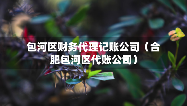 包河區(qū)財(cái)務(wù)代理記賬公司（合肥包河區(qū)代賬公司）