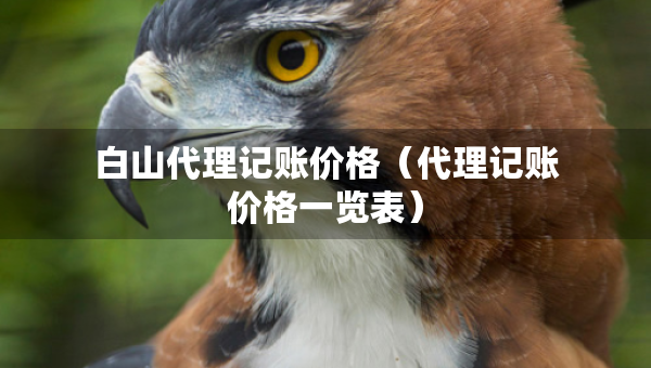 白山代理記賬價格（代理記賬價格一覽表）