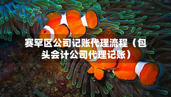 賽罕區(qū)公司記賬代理流程（包頭會計公司代理記賬）
