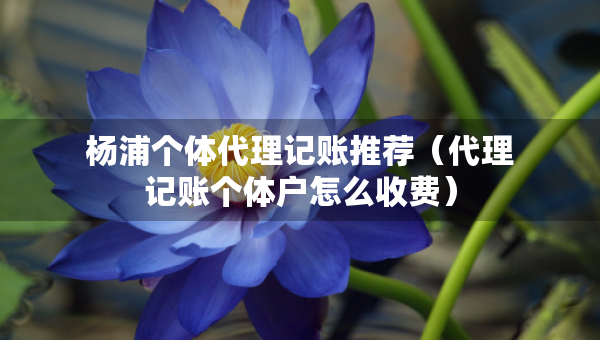 楊浦個體代理記賬推薦（代理記賬個體戶怎么收費）